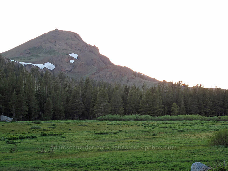 The Nipple & Border Ruffian Flat [Blue Lakes Road, Toiyabe National Forest, Alpine County, California]