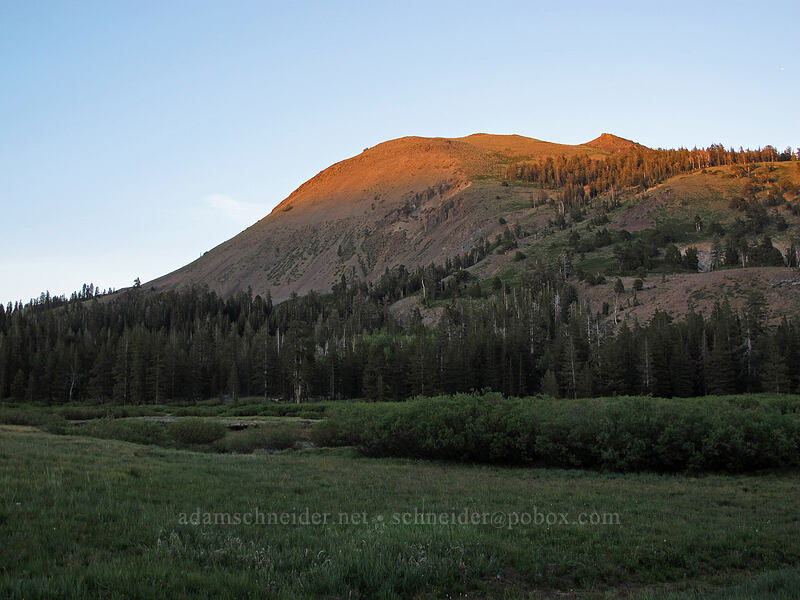 Markleeville Peak & Charity Valley [Blue Lakes Road, Toiyabe National Forest, Alpine County, California]