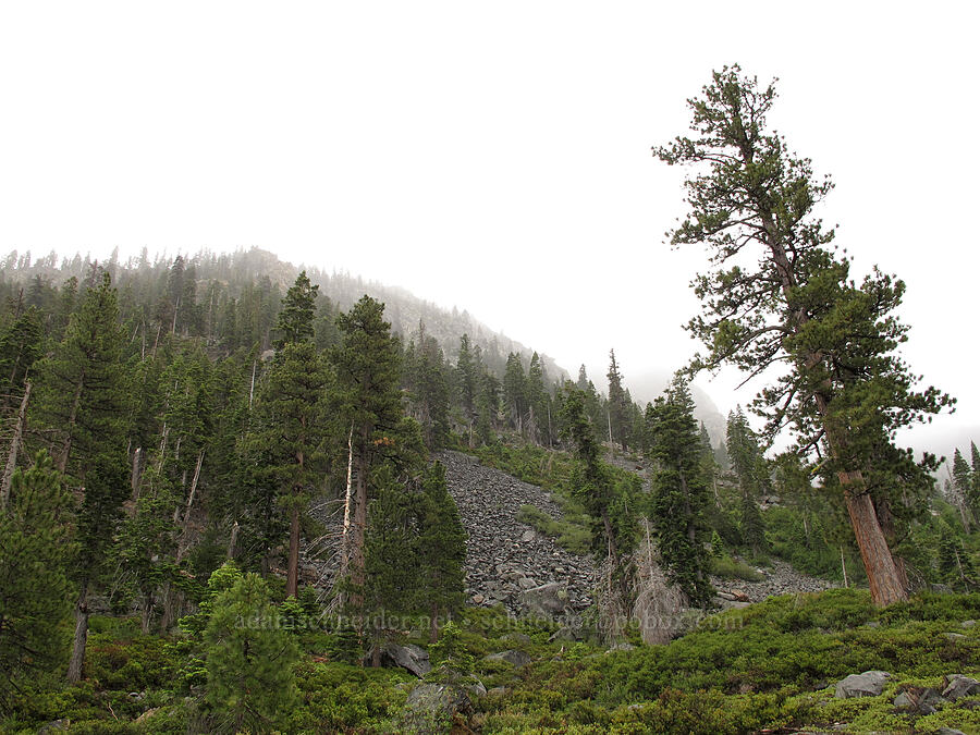 cliffs in the clouds [Tamarack Trail, Lake Tahoe Basin, El Dorado County, California]