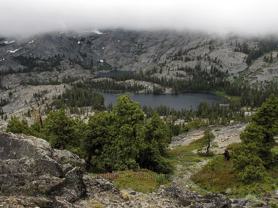 Tamarack Lake & Ralston Lake [Tamarack Trail, Desolation Wilderness, El Dorado County, California]