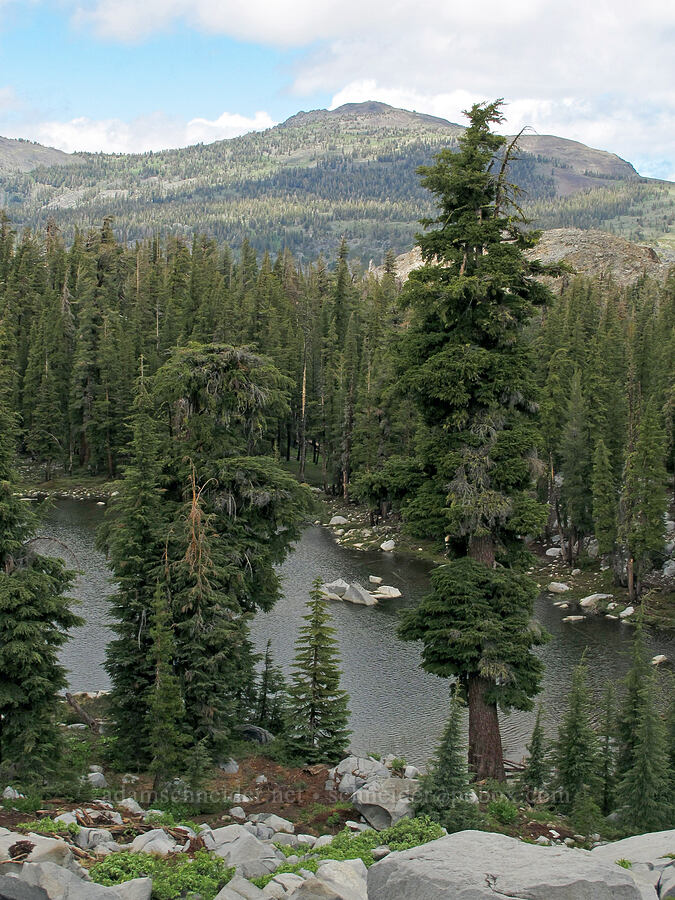 Mt. Tallac & Lake Margery [Pacific Crest Trail, Desolation Wilderness, El Dorado County, California]