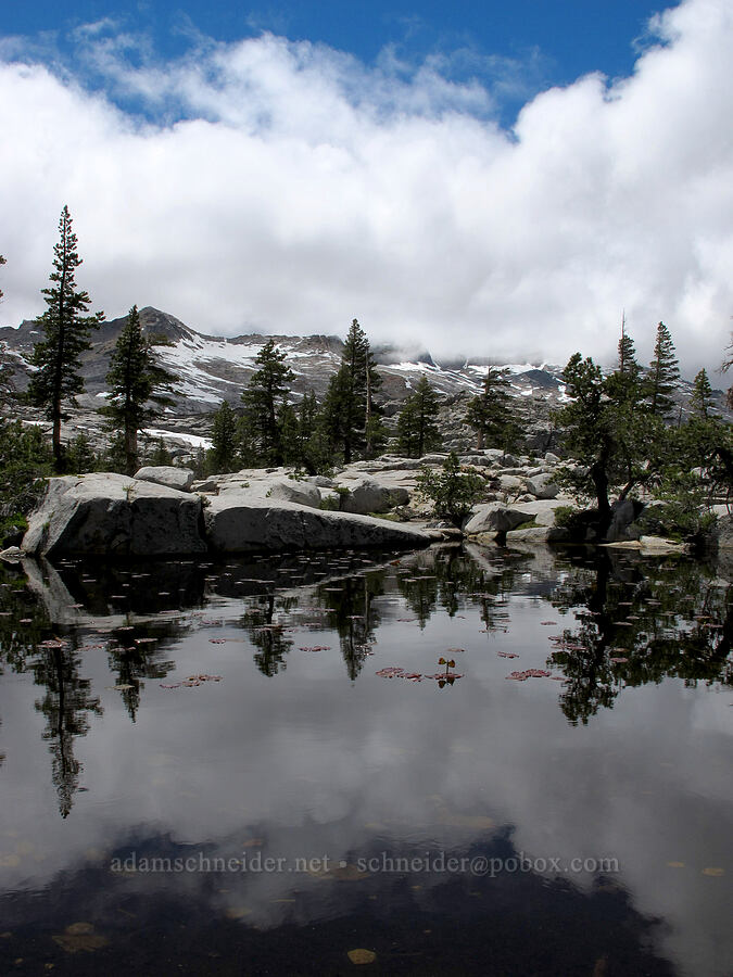 pond near Lake Aloha [Trail 17E40, Desolation Wilderness, El Dorado County, California]