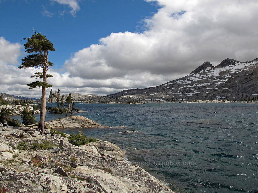 Pyramid Peak, Lake Aloha, & a lone pine tree [Pacific Crest Trail, Desolation Wilderness, El Dorado County, California]