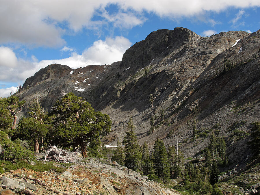 Cracked Crag [Pacific Crest Trail, Desolation Wilderness, El Dorado County, California]