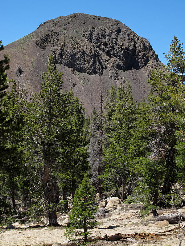 Ebbetts Peak [Ebbetts Pass, Toiyabe National Forest, Alpine County, California]