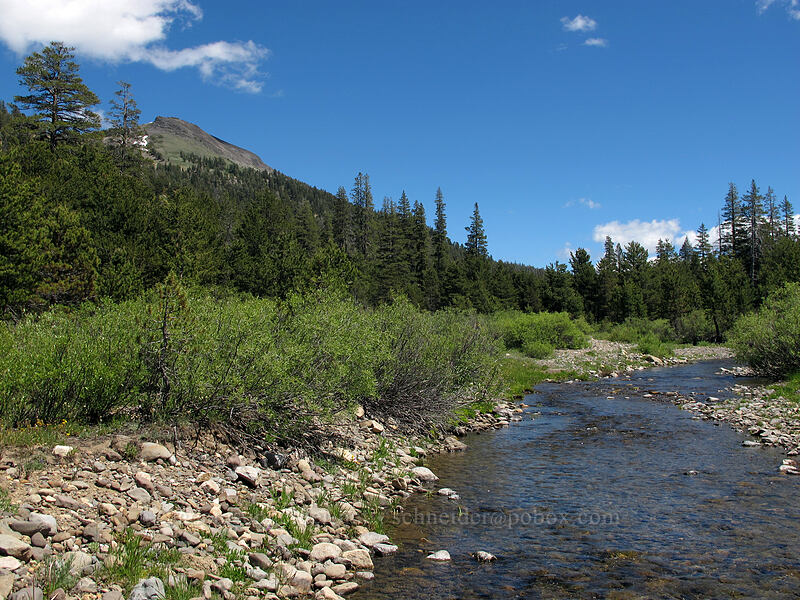 Tryon Peak & the Mokelumne River [Bloomfield Meadow, Toiyabe National Forest, Alpine County, California]