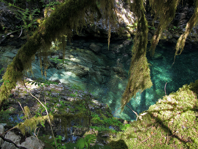 Opal Pool [Kopetski Trail, Opal Creek Scenic Recreation Area, Marion County, Oregon]