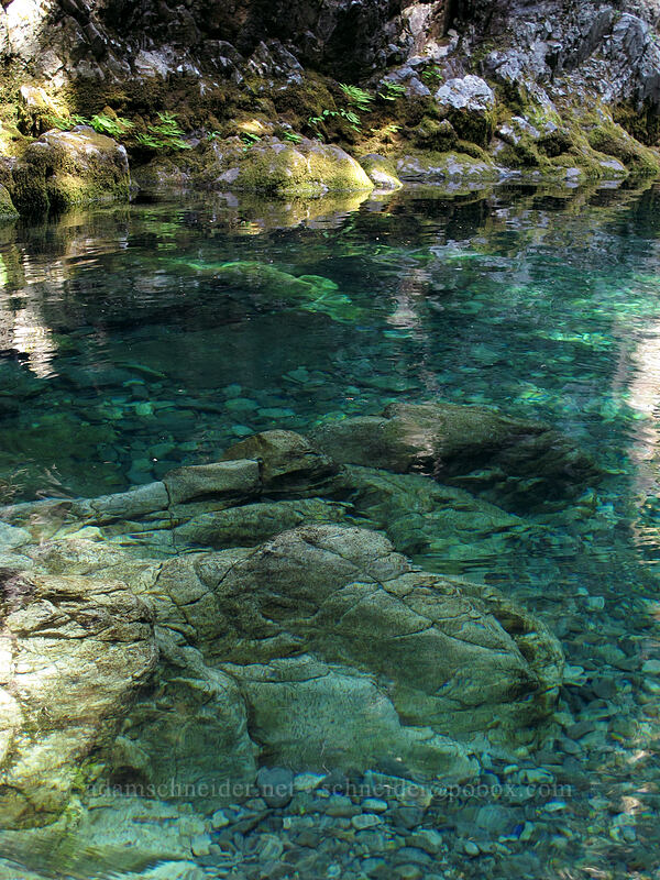 Opal Pool [Kopetski Trail, Opal Creek Scenic Recreation Area, Marion County, Oregon]
