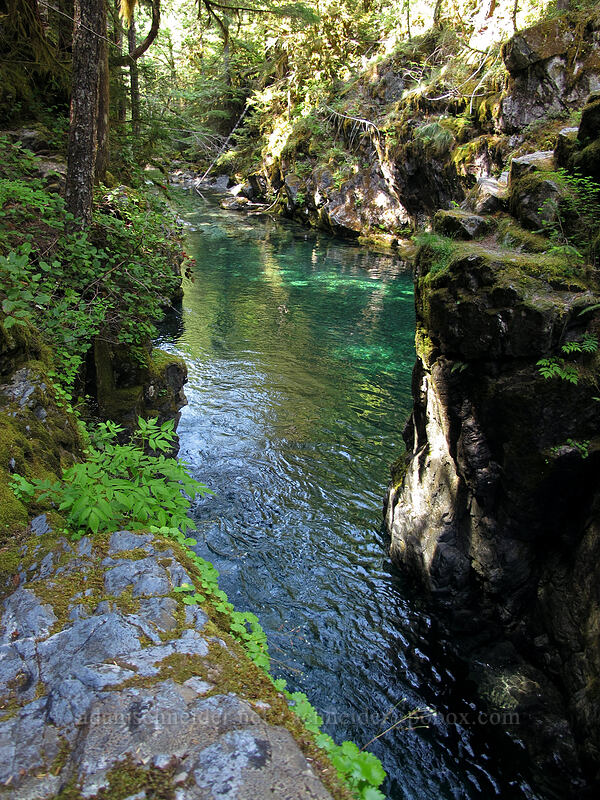 Opal Pool [Kopetski Trail, Opal Creek Scenic Recreation Area, Marion County, Oregon]