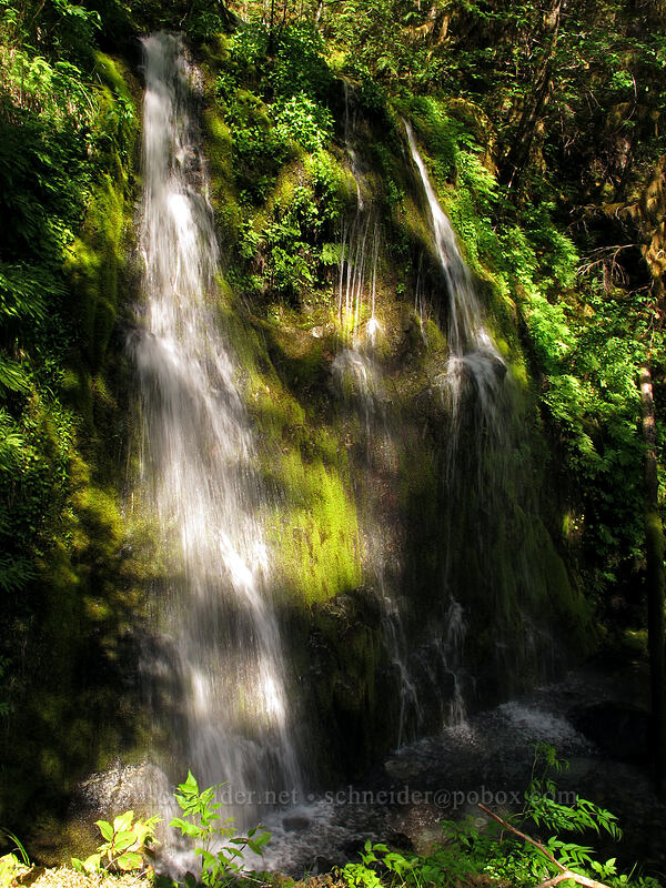 Flume Creek Falls [Kopetski Trail, Opal Creek Scenic Recreation Area, Marion County, Oregon]