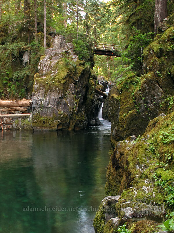 Opal Pool Falls [Kopetski Trail, Opal Creek Scenic Recreation Area, Marion County, Oregon]