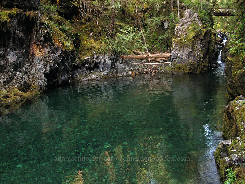 Opal Pool [Kopetski Trail, Opal Creek Scenic Recreation Area, Marion County, Oregon]