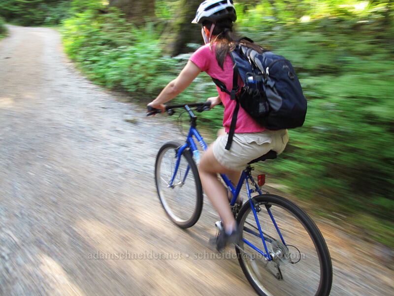 Sara [Forest Road 2209, Opal Creek Scenic Recreation Area, Marion County, Oregon]