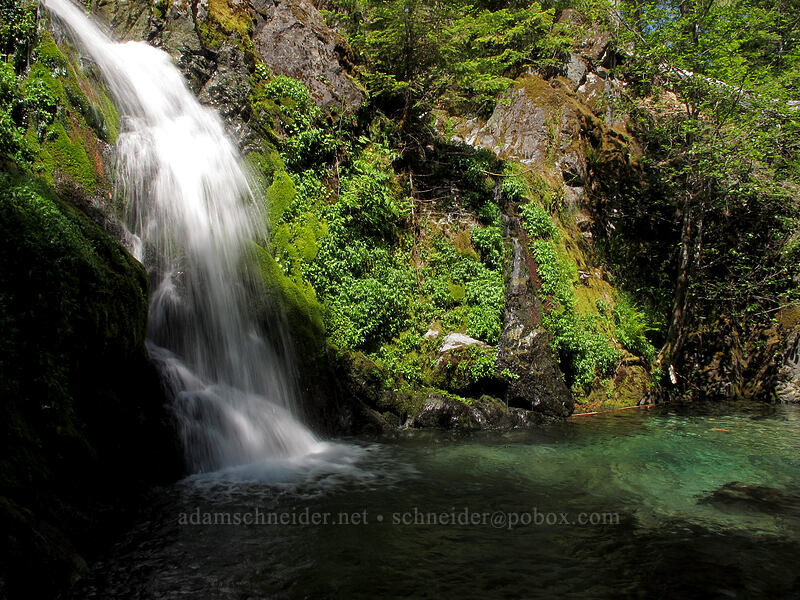Sullivan Falls [Forest Road 2207, Opal Creek Scenic Recreation Area, Marion County, Oregon]