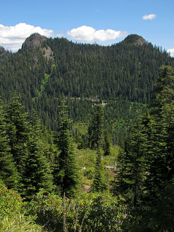 Marten Buttes [Forest Road 2207, Willamette National Forest, Marion County, Oregon]