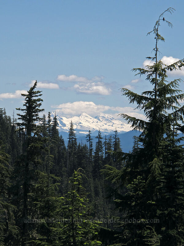 Three Sisters [Forest Road 2207, Willamette National Forest, Marion County, Oregon]