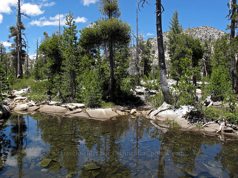 reflective tarn [Desolation Valley, Desolation Wilderness, El Dorado County, California]
