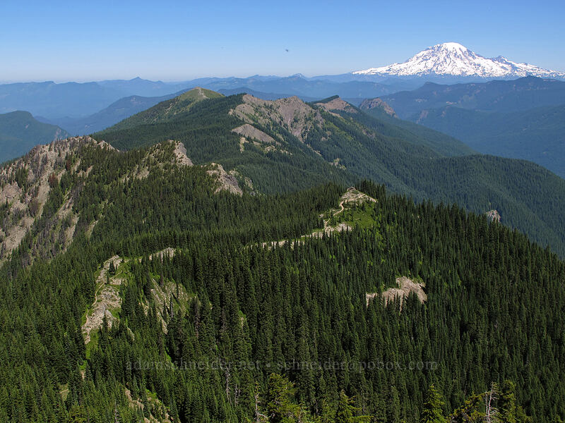Juniper Ridge & Mt. Rainier [Sunrise Peak, Gifford Pinchot National Forest, Skamania County, Washington]