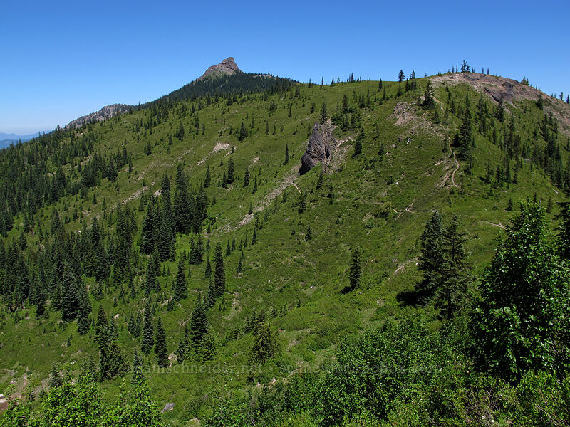 Sunrise Peak & Peak 5205 [Juniper Ridge Trail, Gifford Pinchot National Forest, Skamania County, Washington]