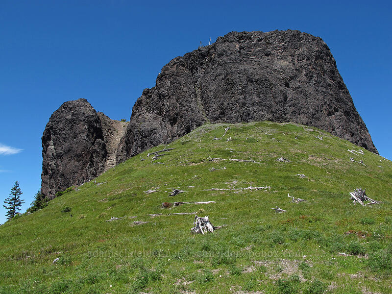 Jumbo Peak from the south [Juniper Ridge Trail, Gifford Pinchot National Forest, Skamania County, Washington]