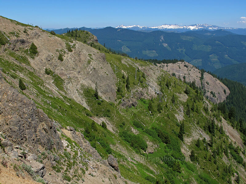east side of Jumbo Peak [Jumbo Peak, Gifford Pinchot National Forest, Skamania County, Washington]