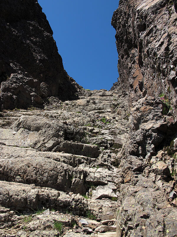 in the chute [Jumbo Peak, Gifford Pinchot National Forest, Skamania County, Washington]