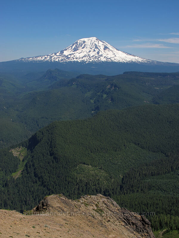 Mt. Adams [Jumbo Peak, Gifford Pinchot National Forest, Skamania County, Washington]