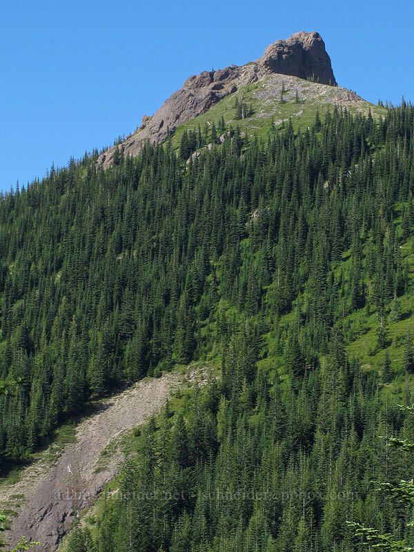 Sunrise Peak [Juniper Ridge Trail, Gifford Pinchot National Forest, Skamania County, Washington]