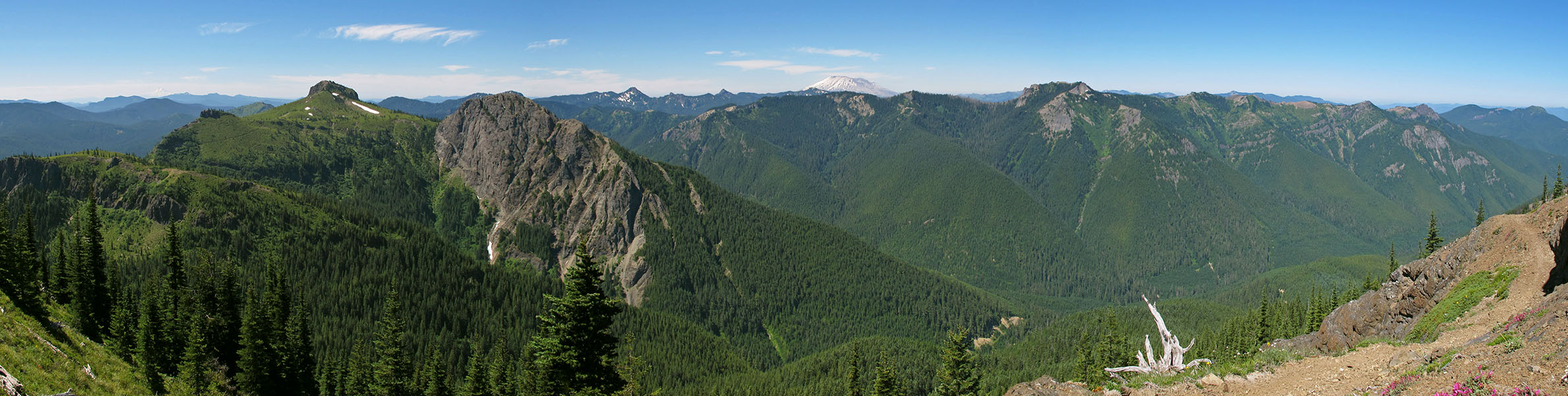 panorama from Sunrise Peak [Sunrise connector trail (262A), Gifford Pinchot National Forest, Skamania County, Washington]
