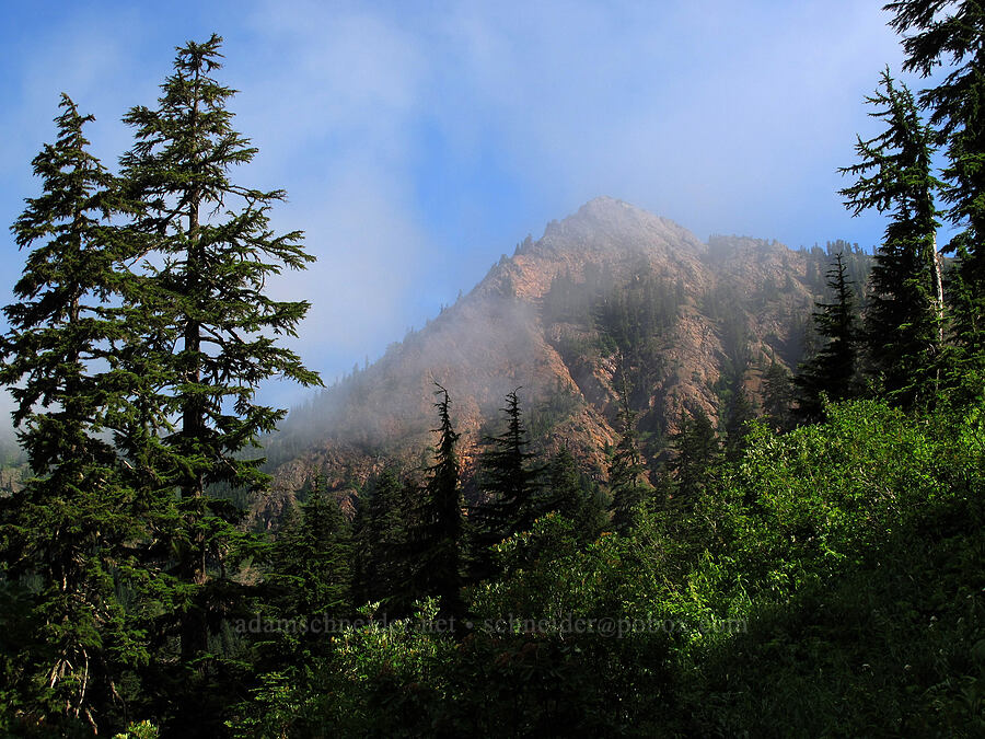 Red Mountain [Pacific Crest Trail, Alpine Lakes Wilderness, King County, Washington]
