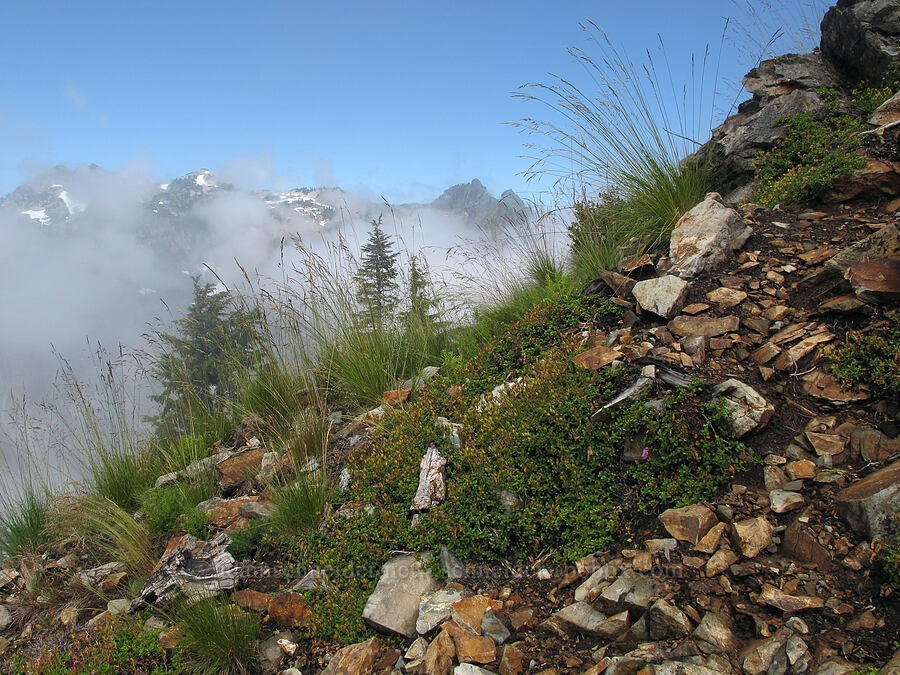Kendall Peak summit trail [Kendall Peak, Alpine Lakes Wilderness, King County, Washington]