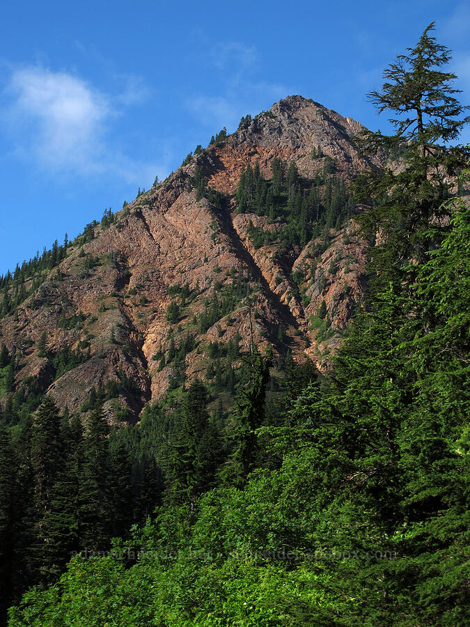 Red Mountain [Pacific Crest Trail, Alpine Lakes Wilderness, King County, Washington]