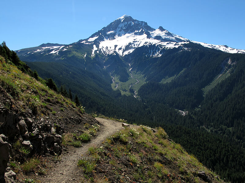 Mount Hood [Bald Mountain, Mt. Hood Wilderness, Clackamas County, Oregon]