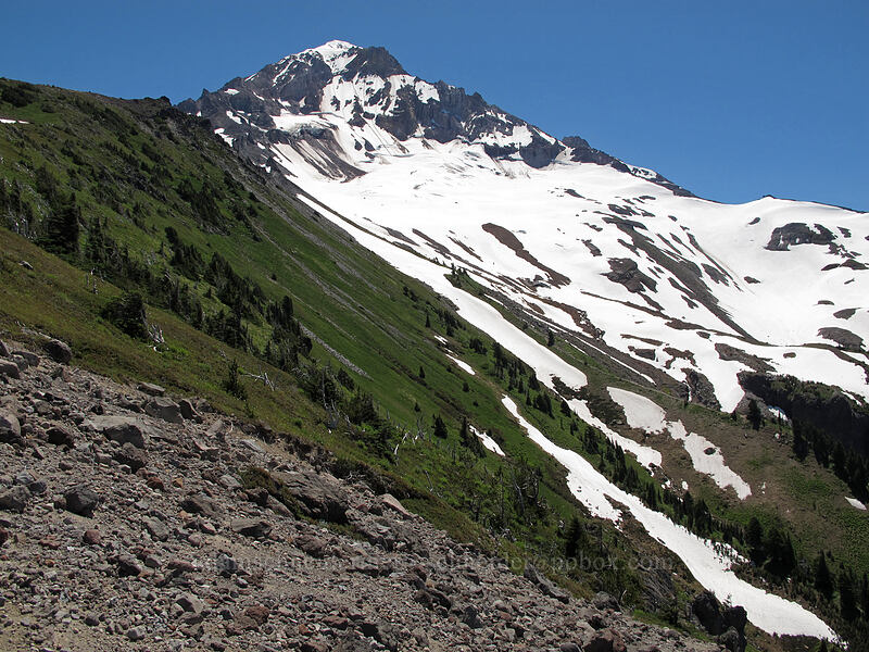 Mount Hood [McNeil Point, Mt. Hood Wilderness, Clackamas County, Oregon]