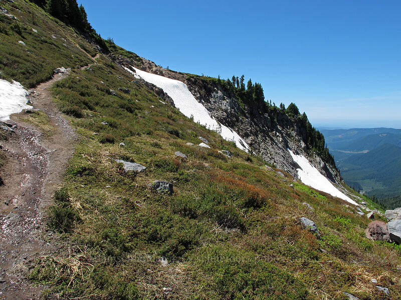 snowfields [McNeil Point Trail, Mt. Hood Wilderness, Hood River County, Oregon]