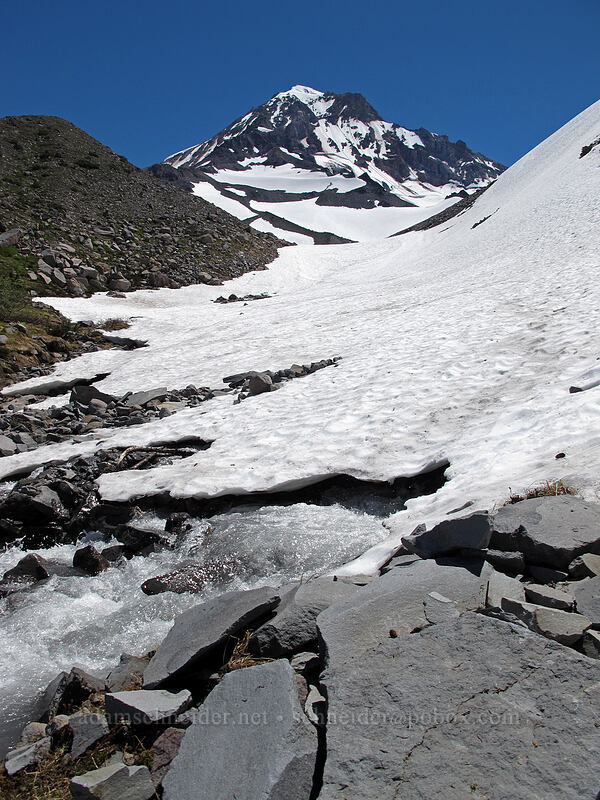 west fork of Ladd Creek [above Cairn Basin, Mt. Hood Wilderness, Hood River County, Oregon]