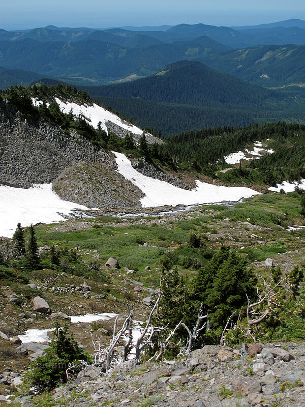 meadows above Cairn Basin [Gladd Ridge, Mt. Hood Wilderness, Hood River County, Oregon]