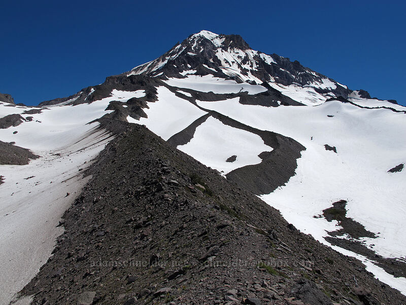 Gladd Ridge [Gladd Ridge, Mt. Hood Wilderness, Hood River County, Oregon]