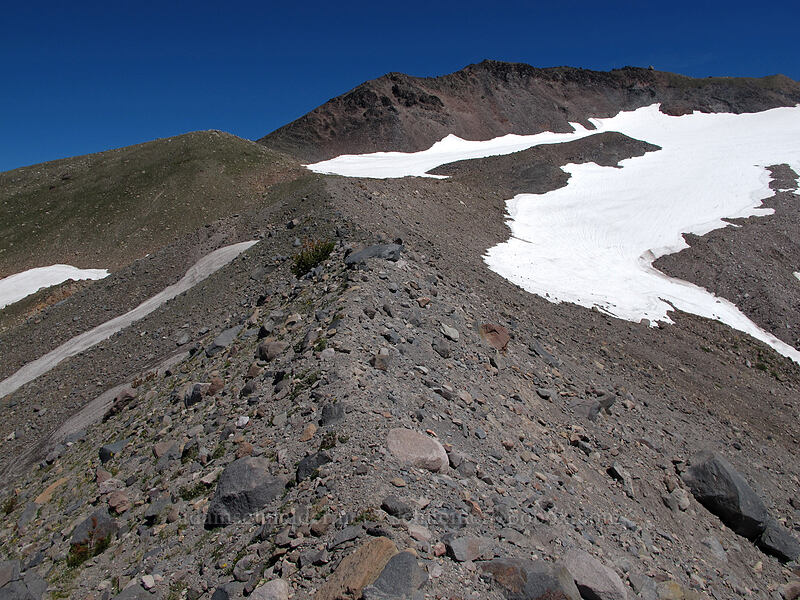 Barrett Spur [Ladd Glacier moraine, Mt. Hood Wilderness, Hood River County, Oregon]