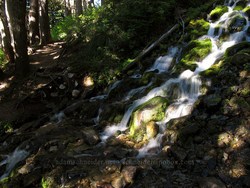 trailside waterfall [Timberline Trail, Mt. Hood Wilderness, Hood River County, Oregon]
