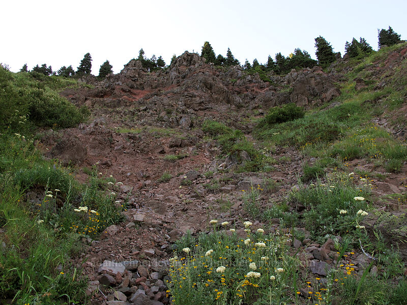 Bald Mountain summit scramble [Bald Mountain, Mt. Hood Wilderness, Clackamas County, Oregon]