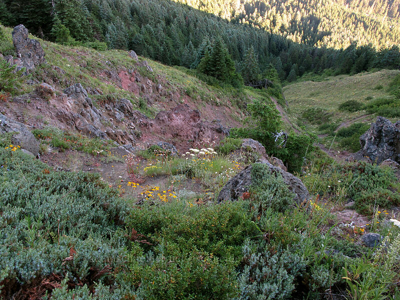 Bald Mountain summit scramble [Bald Mountain, Mt. Hood Wilderness, Clackamas County, Oregon]