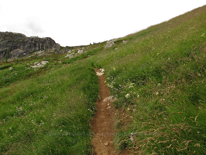the trail [Maple Pass Trail, Okanogan-Wenatchee National Forest, Chelan County, Washington]