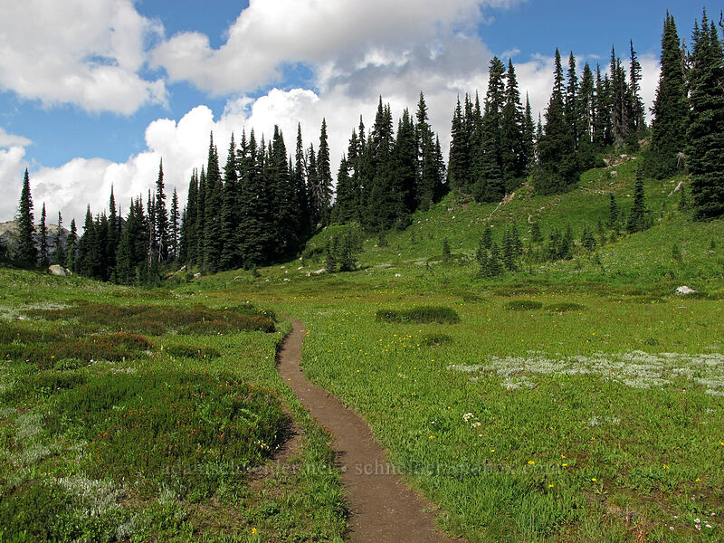 Heather Pass [Heather Pass, Okanogan-Wenatchee National Forest, Chelan County, Washington]