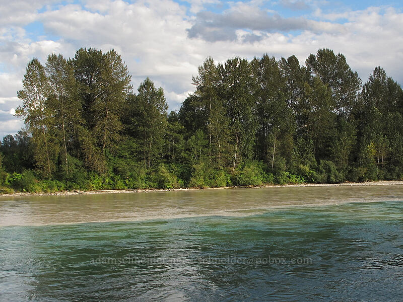 Baker-Skagit confluence [mouth of the Baker River, Concrete, Skagit County, Washington]