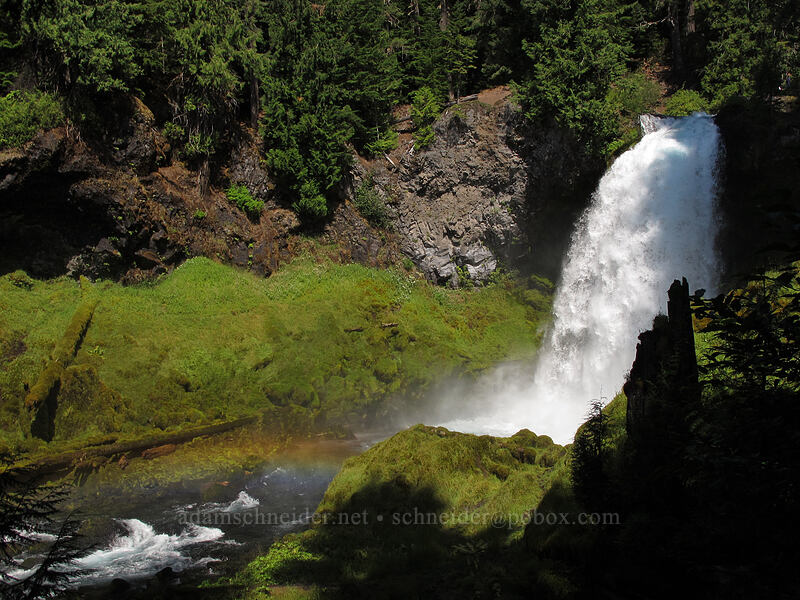 Sahalie Falls [Waterfalls Loop Trail, Willamette National Forest, Linn County, Oregon]