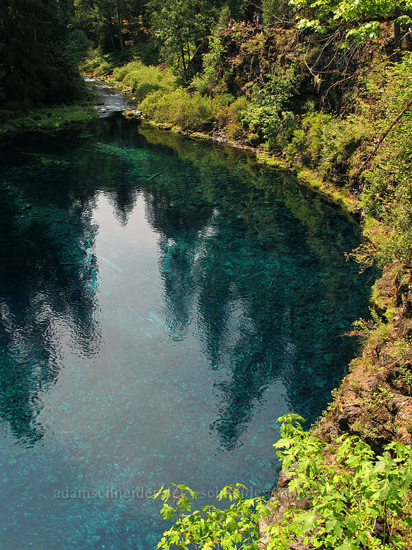 Blue Pool [Tamolitch Pool, Willamette National Forest, Linn County, Oregon]