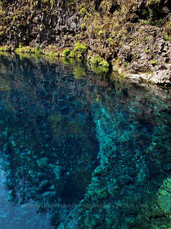 Blue Pool [Tamolitch Pool, Willamette National Forest, Linn County, Oregon]