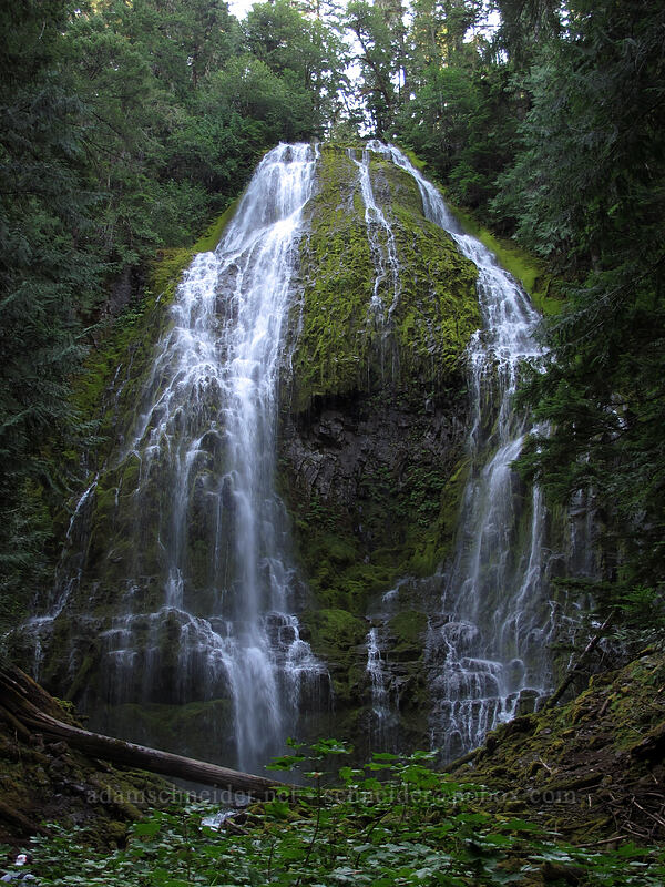 Lower Proxy Falls [Proxy Falls Trail, Willamette National Forest, Lane County, Oregon]