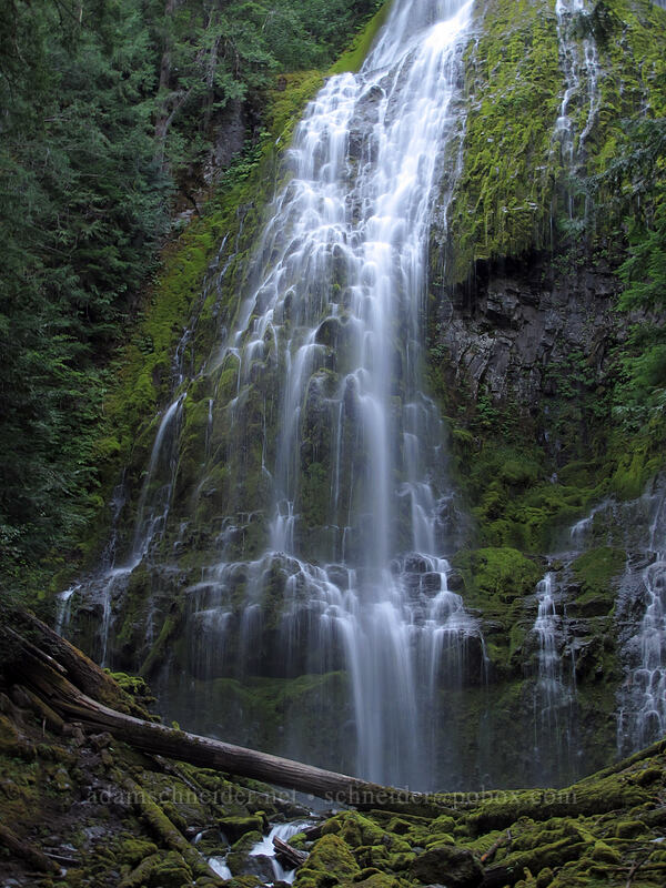Lower Proxy Falls [Proxy Falls Trail, Willamette National Forest, Lane County, Oregon]